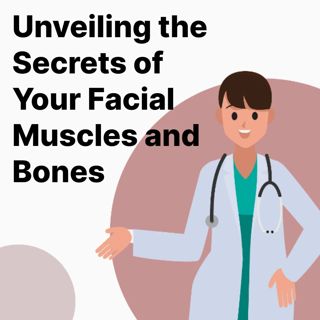 Unveiling the secrets of facial muscles and bones